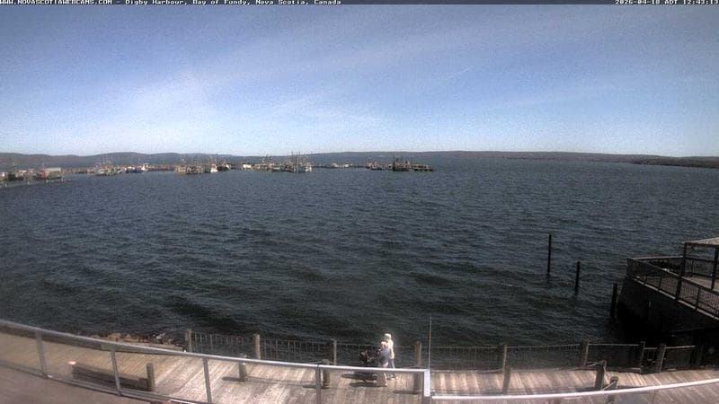 Digby Harbour