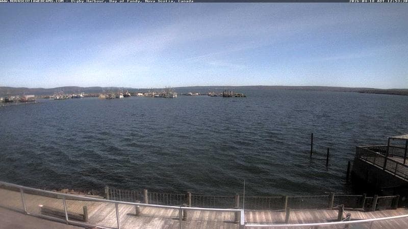 Digby Harbour