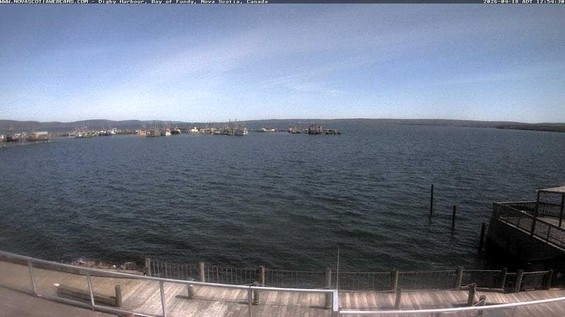 Digby Harbour