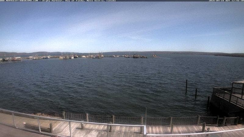 Digby Harbour