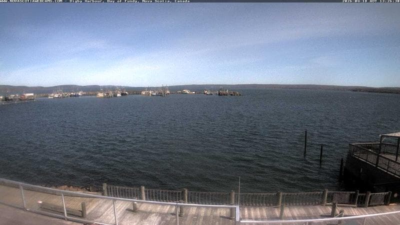 Digby Harbour