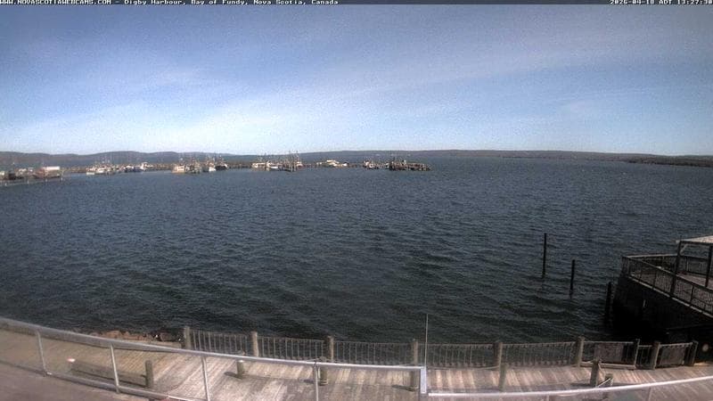 Digby Harbour
