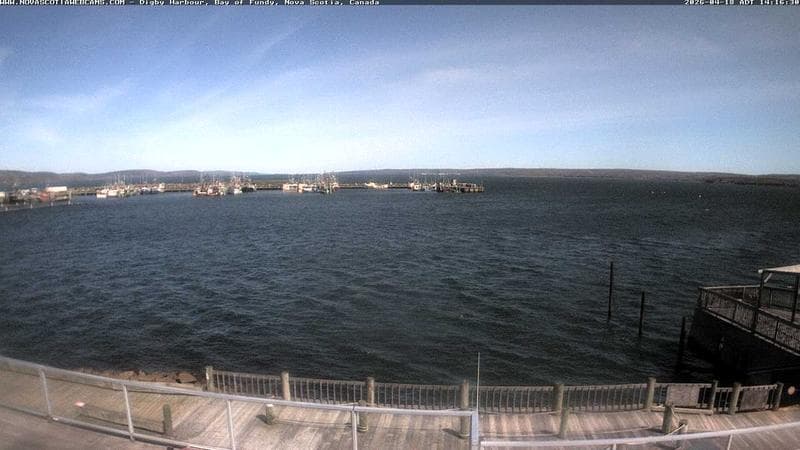Digby Harbour