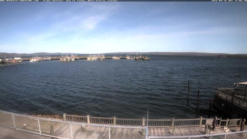 Digby Harbour