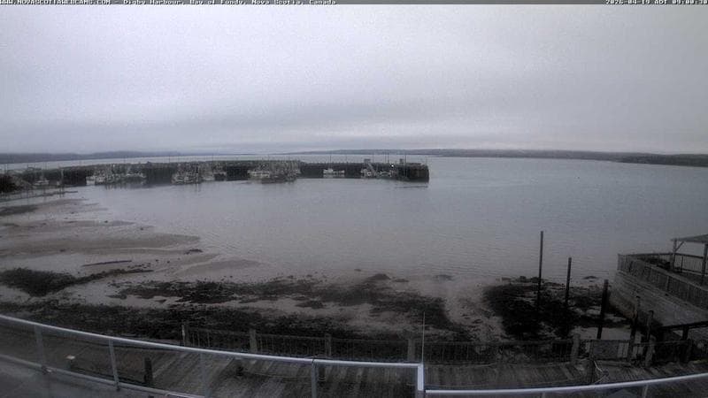 Digby Harbour