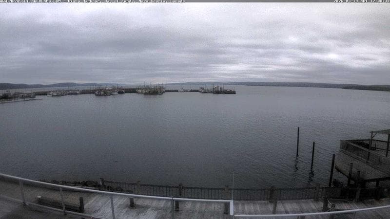Digby Harbour
