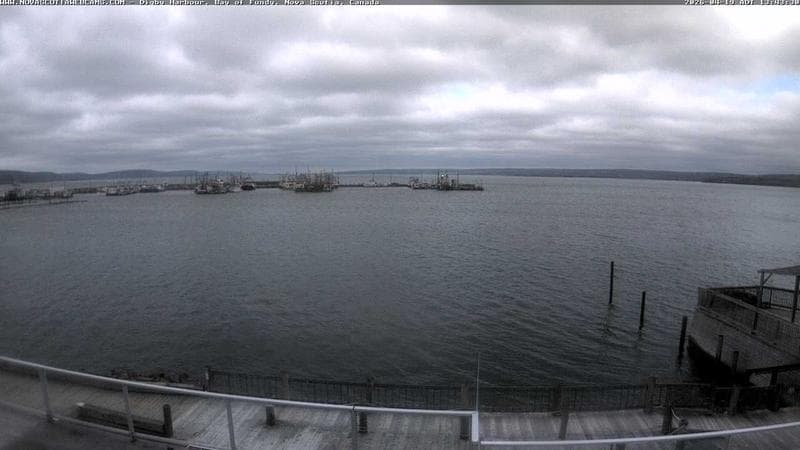 Digby Harbour