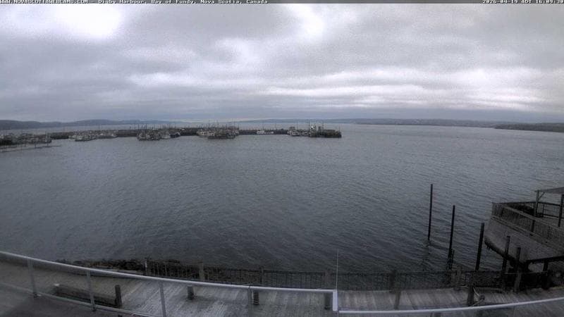 Digby Harbour
