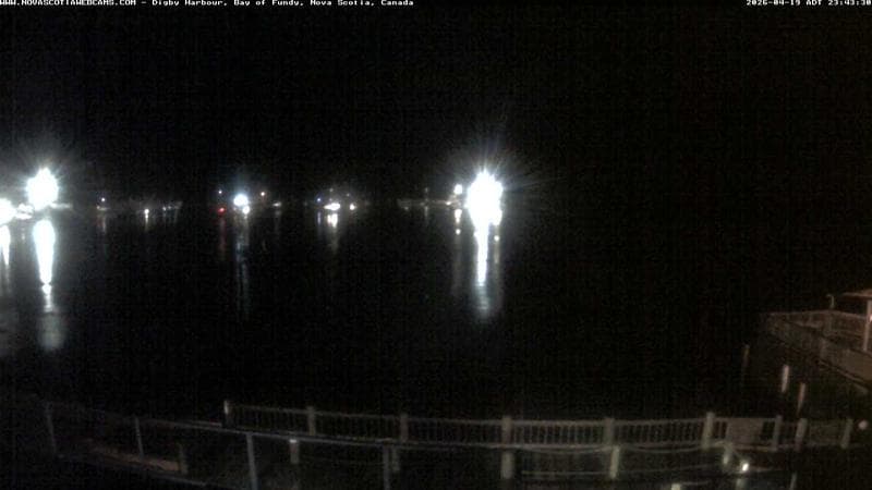 Digby Harbour
