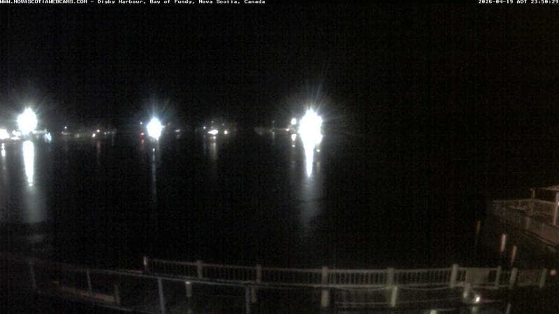 Digby Harbour