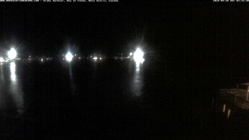 Digby Harbour