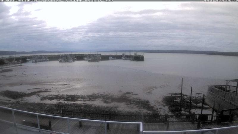 Digby Harbour