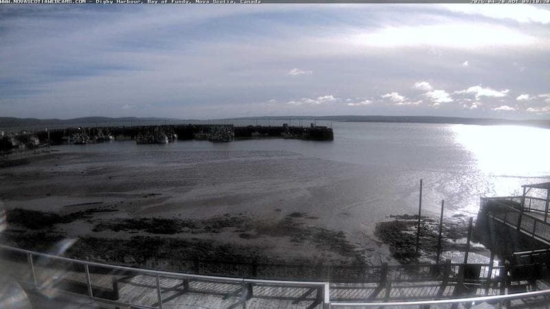 Digby Harbour