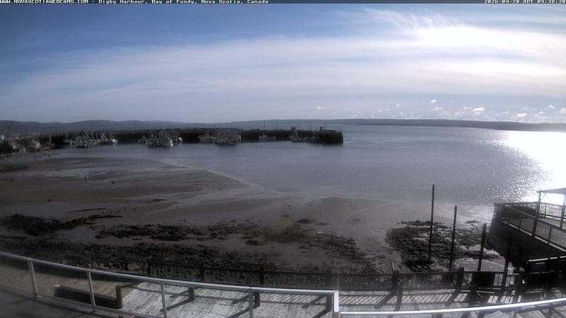 Digby Harbour