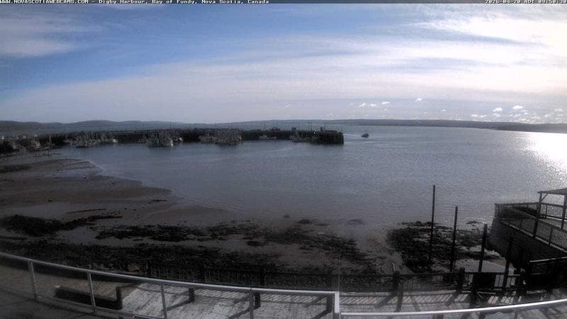 Digby Harbour