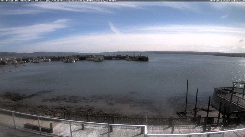 Digby Harbour