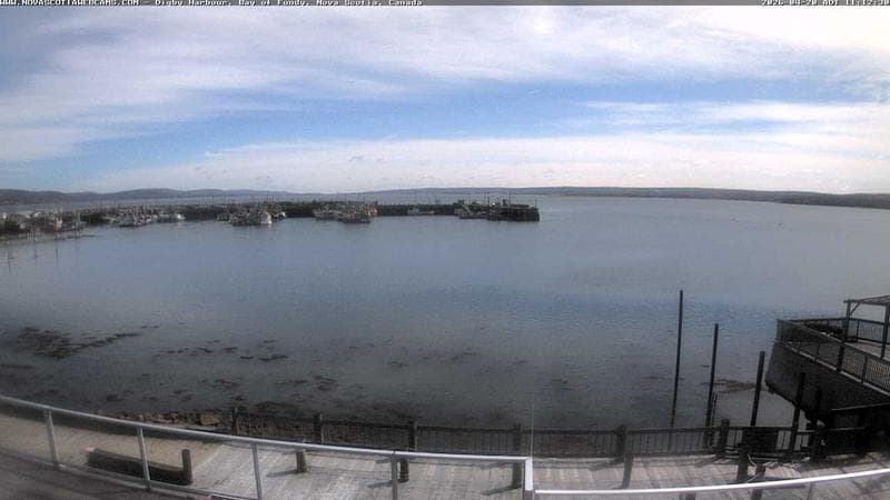 Digby Harbour