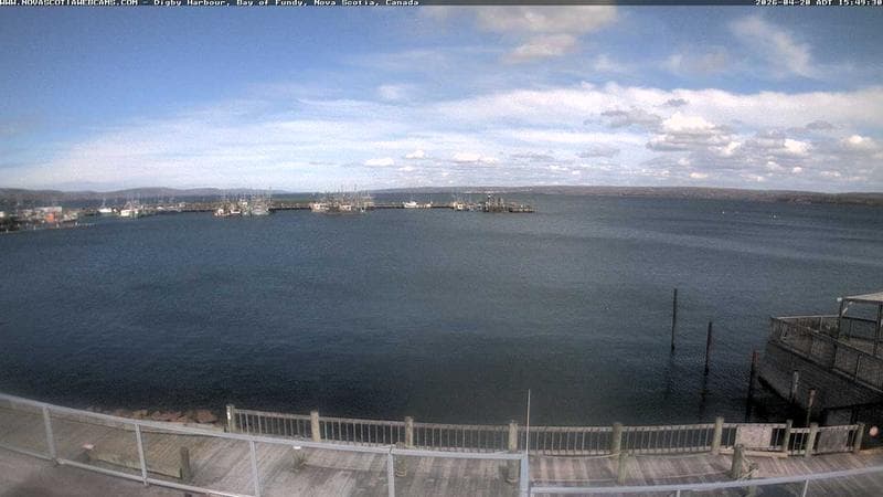 Digby Harbour