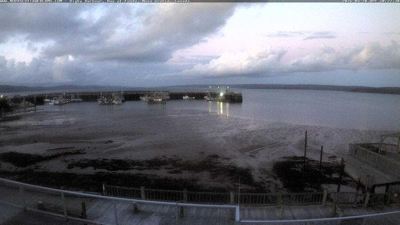Digby Harbour