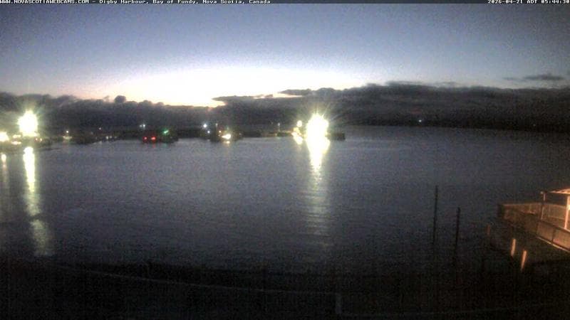 Digby Harbour