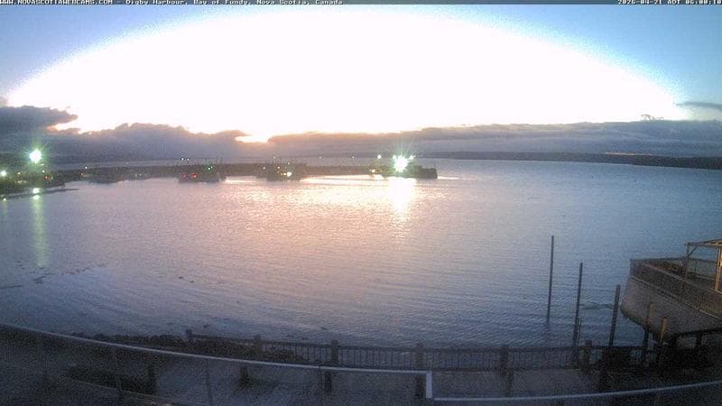 Digby Harbour