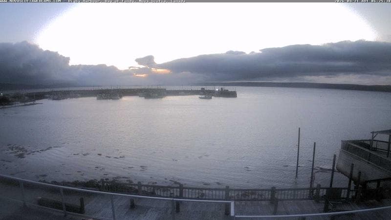 Digby Harbour