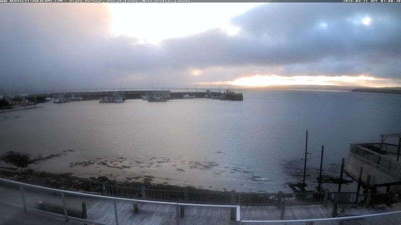 Digby Harbour