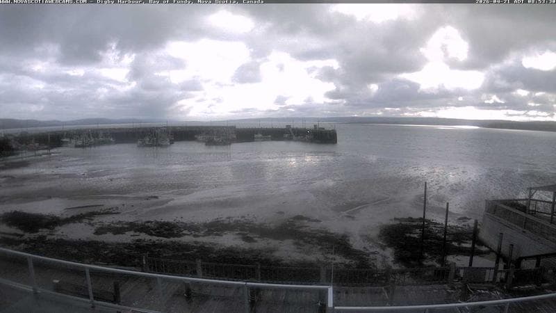 Digby Harbour