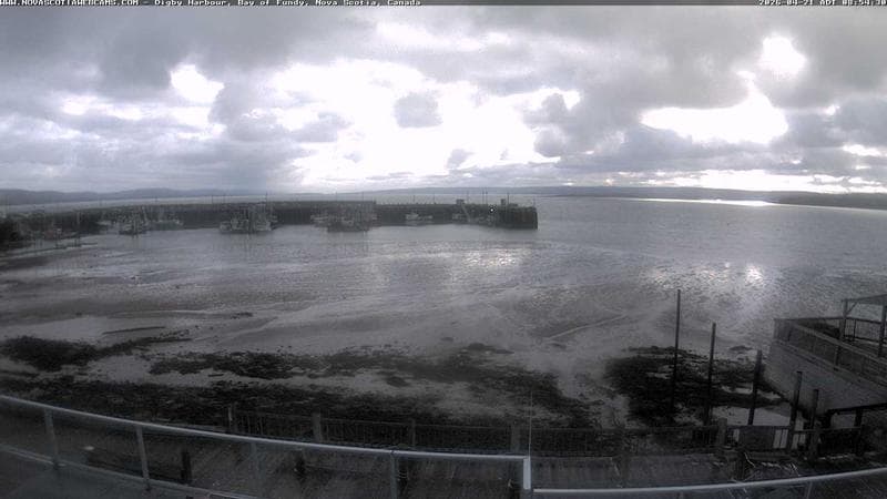 Digby Harbour