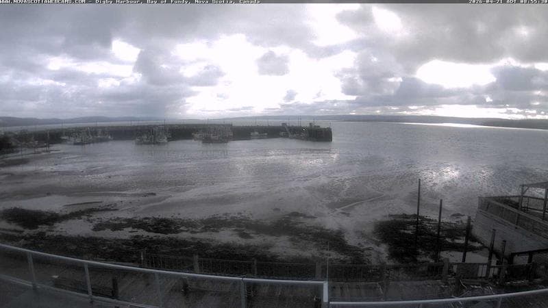Digby Harbour