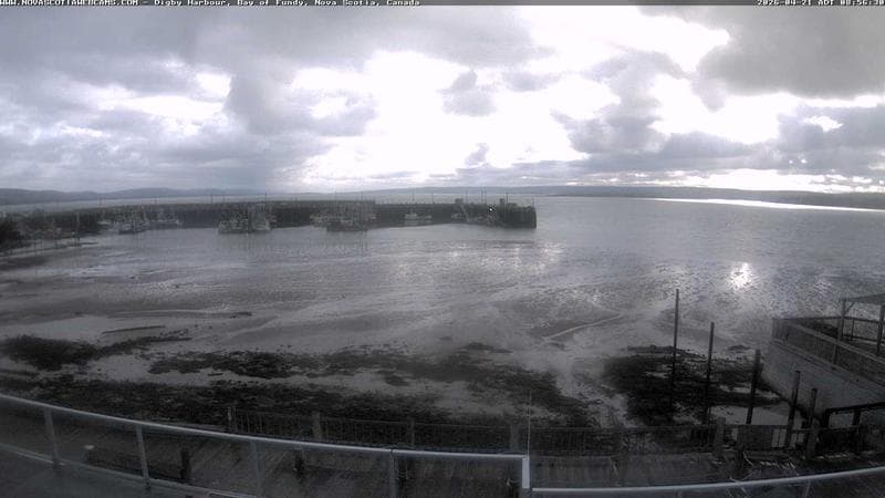 Digby Harbour