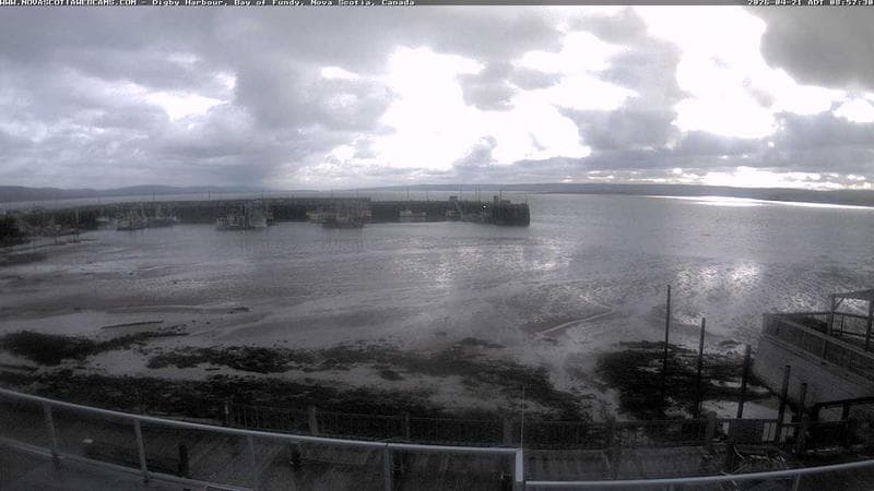 Digby Harbour