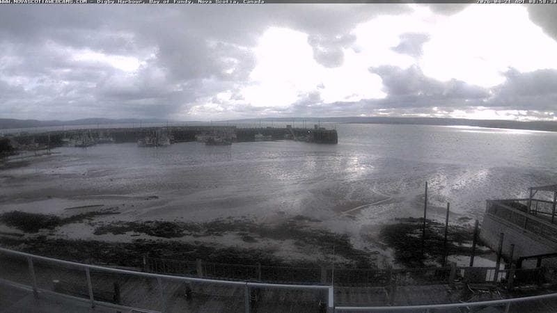 Digby Harbour