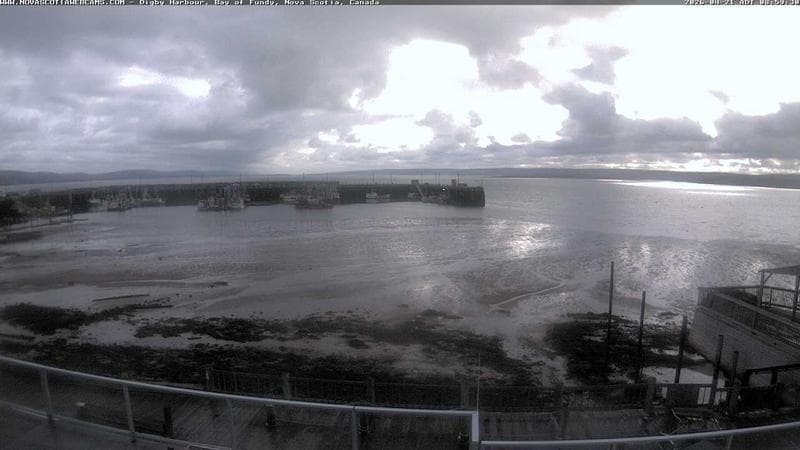Digby Harbour