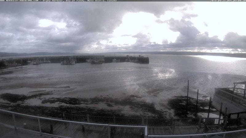 Digby Harbour