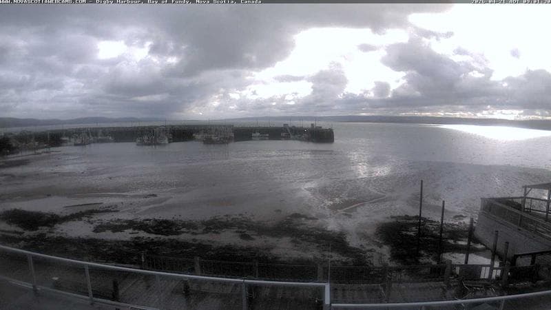 Digby Harbour
