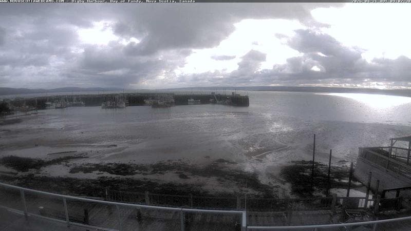 Digby Harbour