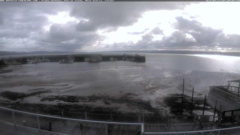 Digby Harbour