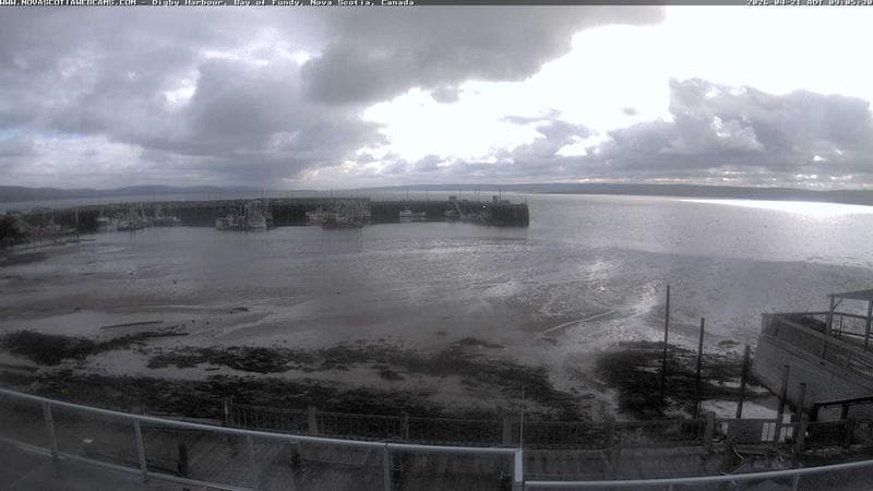 Digby Harbour