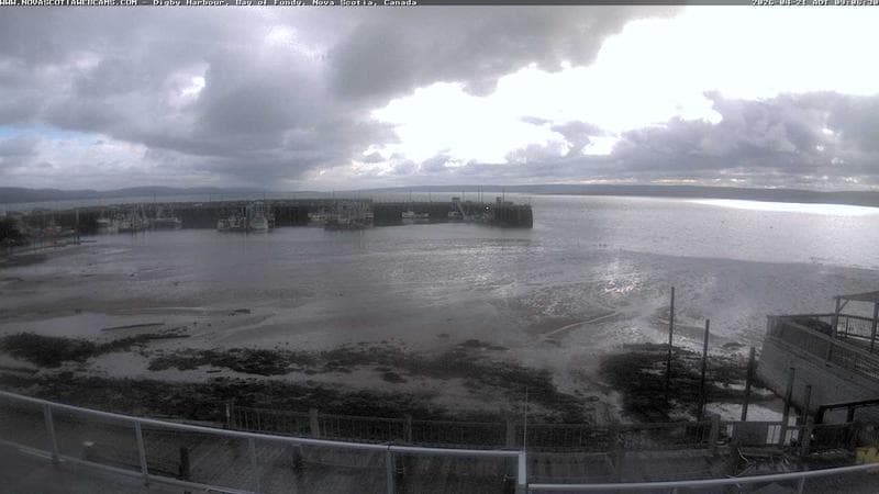 Digby Harbour