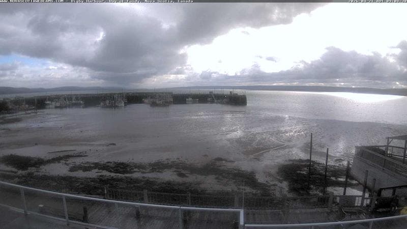 Digby Harbour