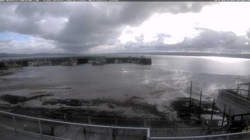 Digby Harbour
