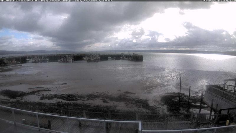 Digby Harbour