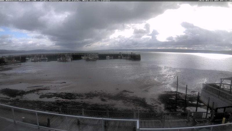 Digby Harbour