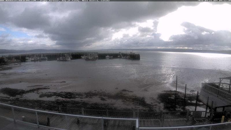 Digby Harbour