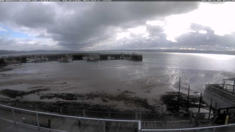 Digby Harbour