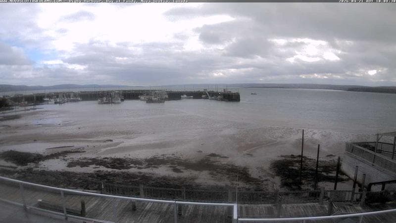 Digby Harbour