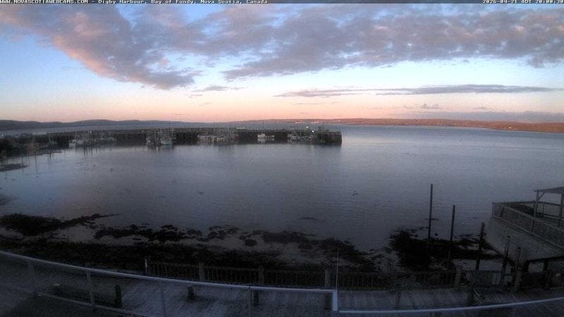 Digby Harbour