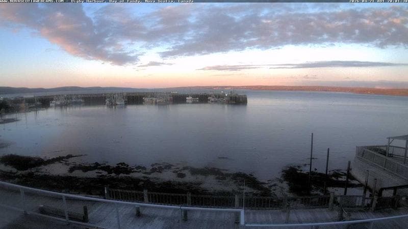 Digby Harbour