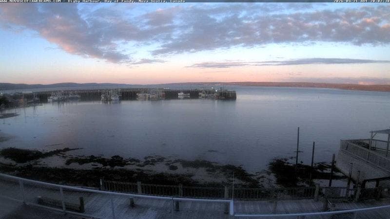 Digby Harbour